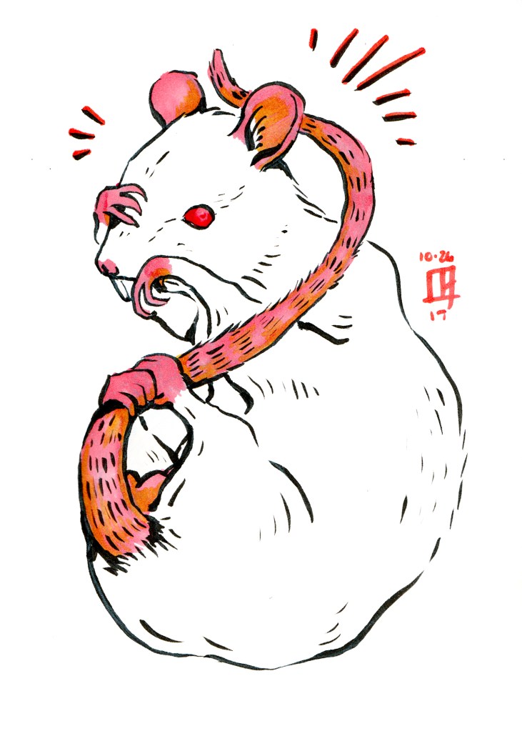 Ink illustration of a rat grasping it's tail and face