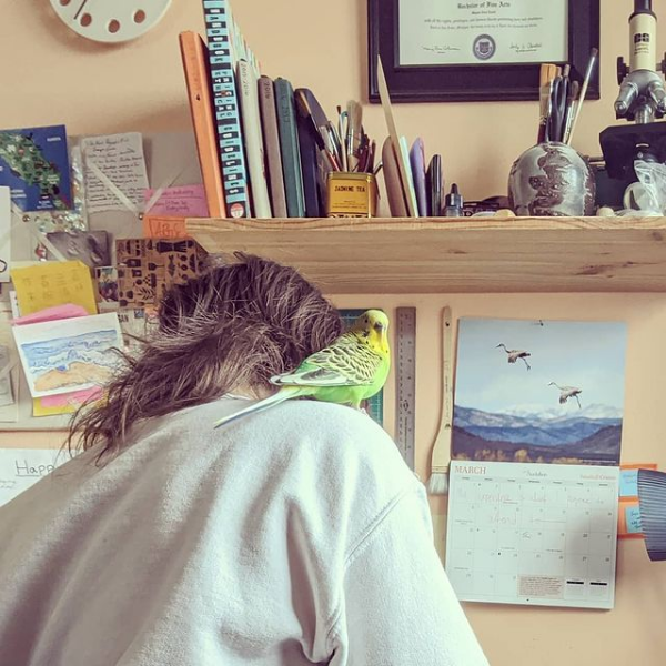 Opa, the green parakeet on my shoulder as I work at the drafting table in my studio