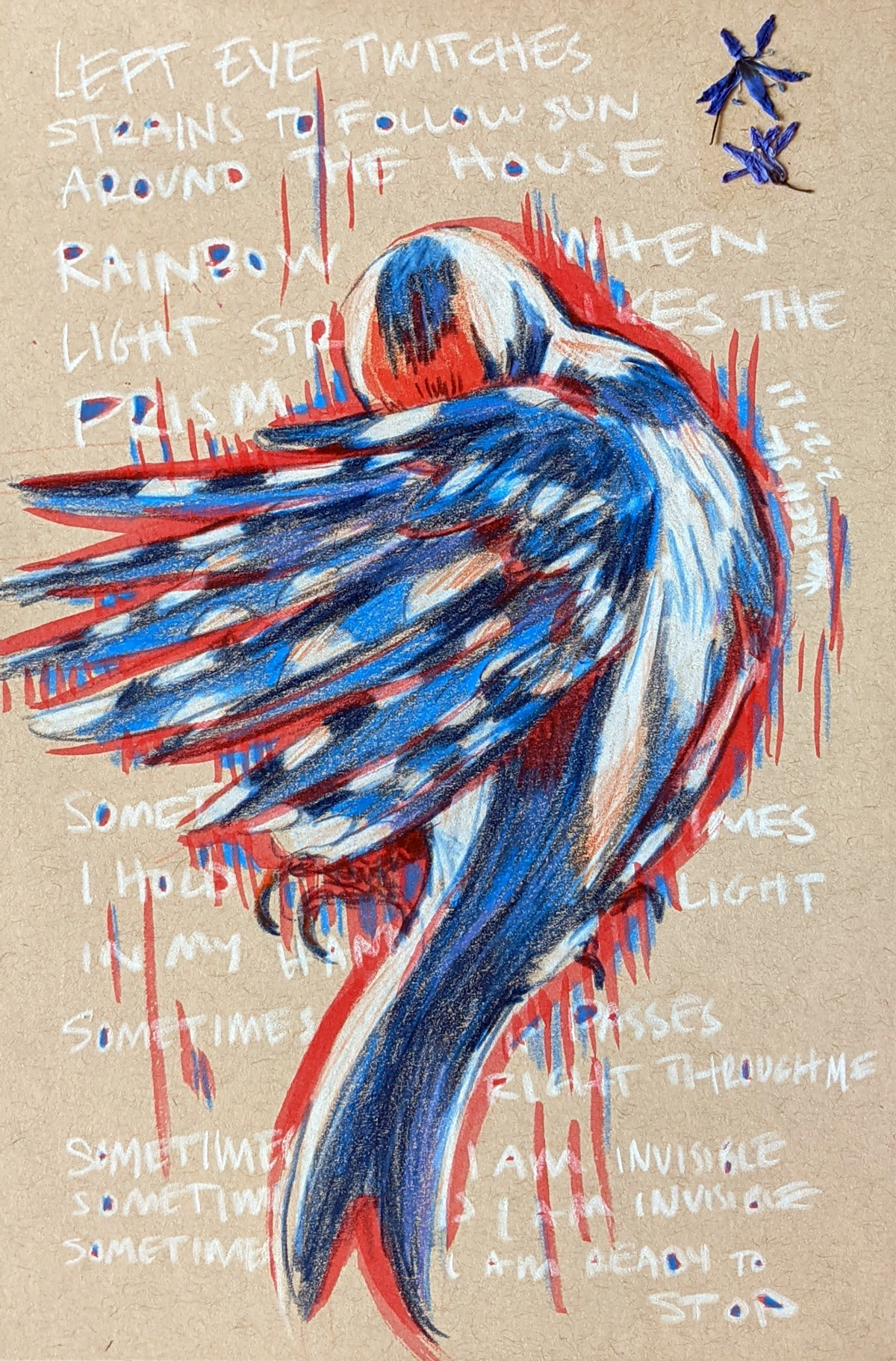 Drawing of a hairy woodpecker with wing extended on toned paper. Poem is written in white around the bird.