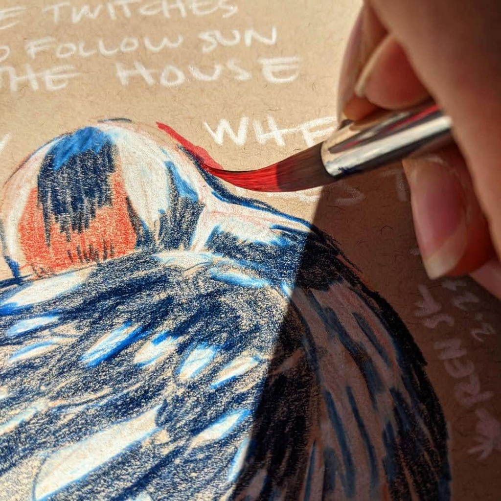 Painting the red outline on the hairy woodpecker illustration. Close up of the brush.