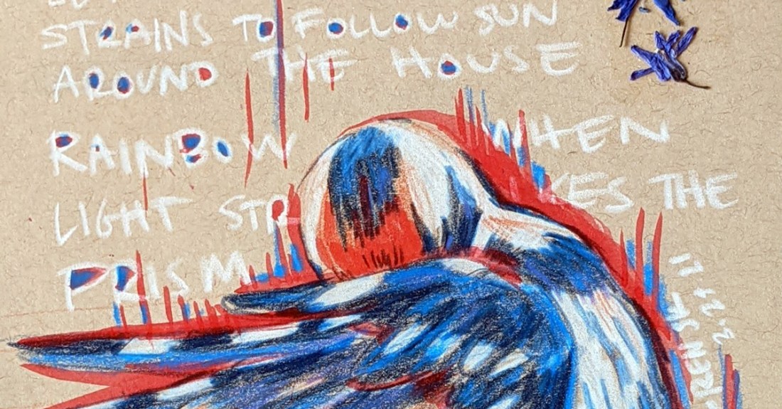 A close up of a hairy woodpecker illustration on toned paper