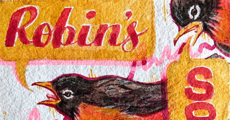 Featured cropping of the illustration of two robins singing with speach bubbles that say 'Robin's Song'