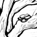 Thumbnail of Octotree from the zine master sheet