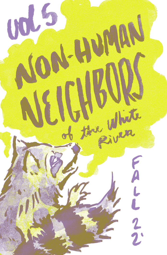 Ren S.K. Studio Non Human-Neighbors Zine Vol 5 Cover Raccoon in Fluorescent Yellow and Violet