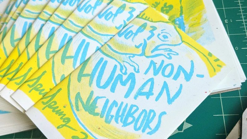 Folded mini zines in a stack printed with vibrant yellow and blue inks. A spring peeper frog is featured on the front.