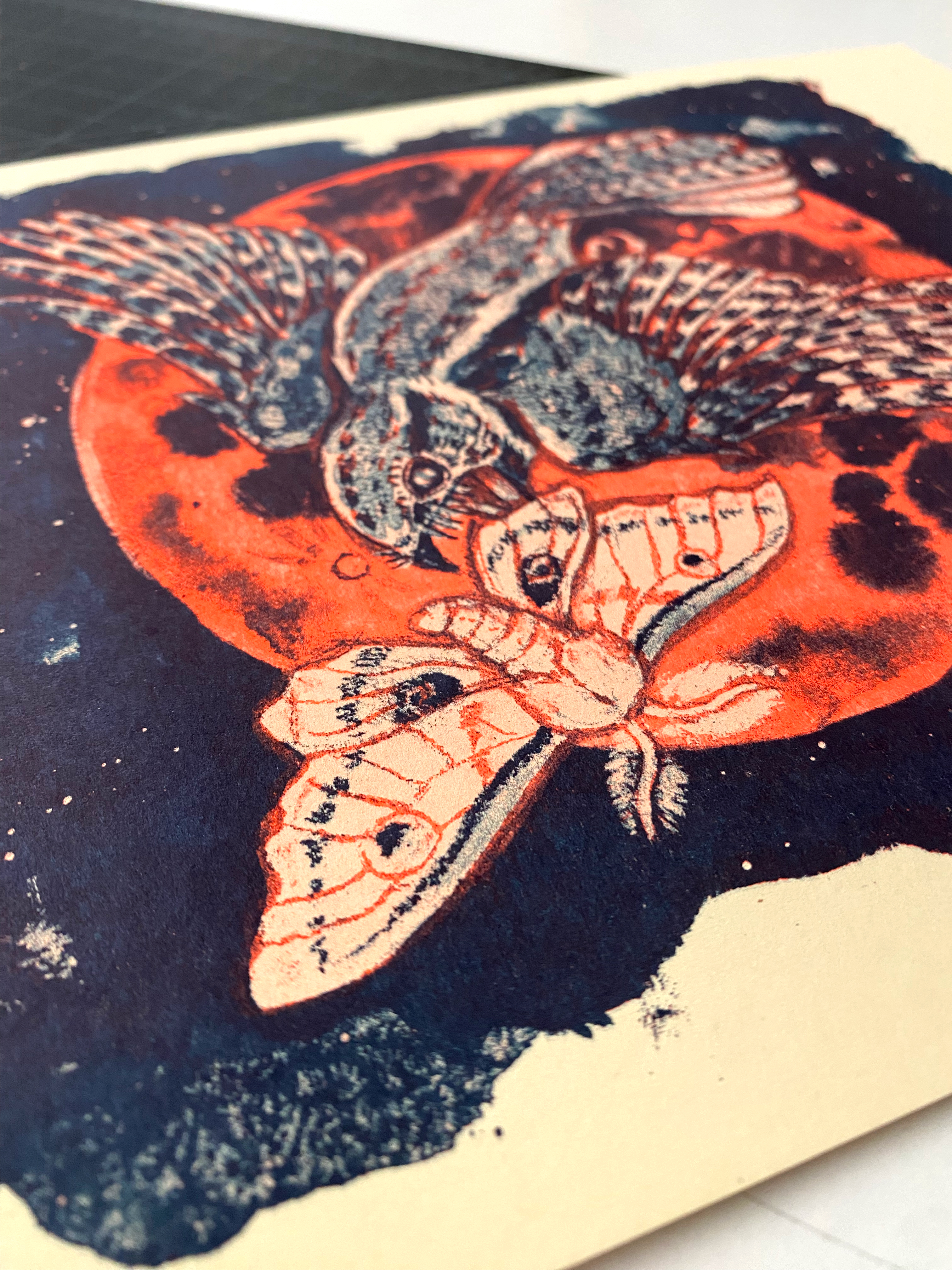 Risograph print of a Whippoorwill and moth in flight in steel blue ink, neon red ink on warm cream colored paper