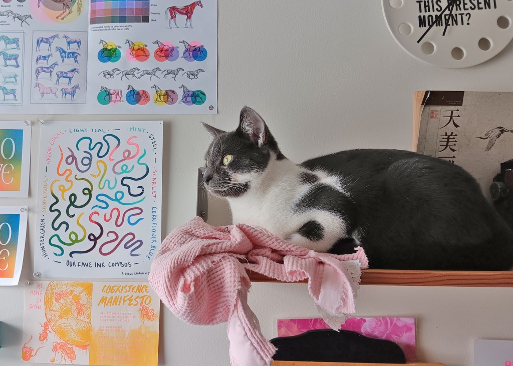 Cinder Mei, the kitten help in my studio hanging out on a shelf above my drafting table