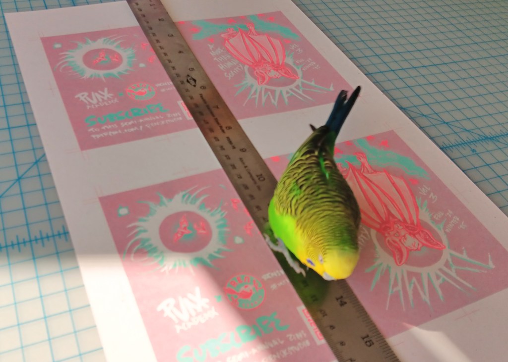 Rainford, the budgie supervisor, walking on risograph print sheets for zines