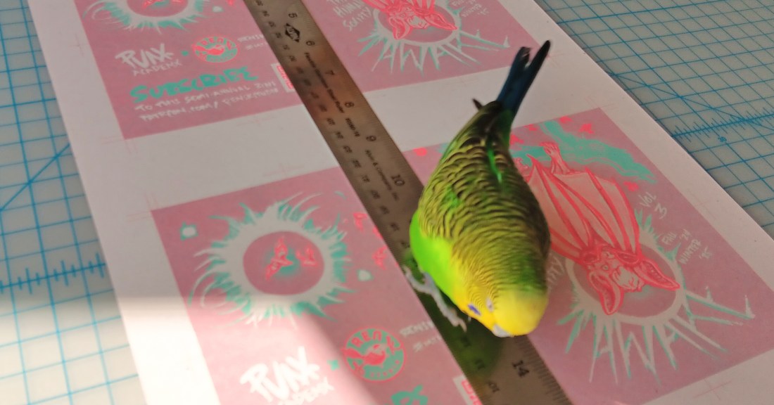 Rainford, the budgie supervisor, walking on risograph print sheets for zines